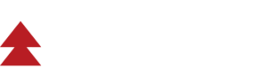 Group-2.png